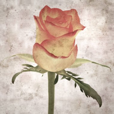 Kare biçiminde, sarı ve turuncu güllü eski desenli kağıt arka plan