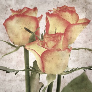 Kare biçiminde, sarı ve turuncu güllü eski desenli kağıt arka plan