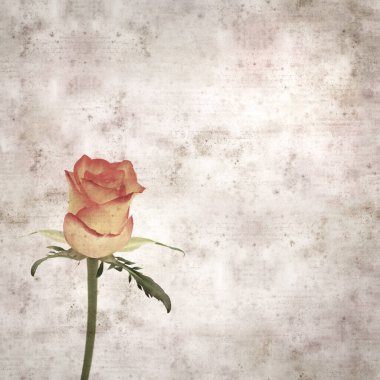 Kare biçiminde, sarı ve turuncu güllü eski desenli kağıt arka plan