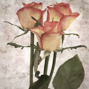 Kare biçiminde, sarı ve turuncu güllü eski desenli kağıt arka plan