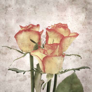 Kare biçiminde, sarı ve turuncu güllü eski desenli kağıt arka plan