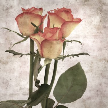 Kare biçiminde, sarı ve turuncu güllü eski desenli kağıt arka plan