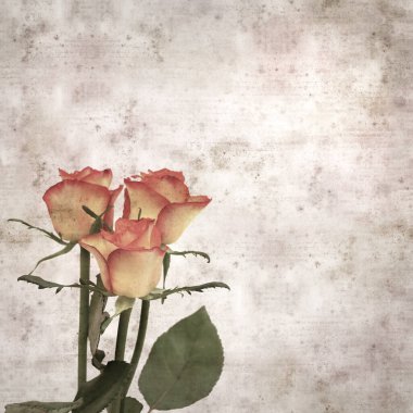 Kare biçiminde, sarı ve turuncu güllü eski desenli kağıt arka plan