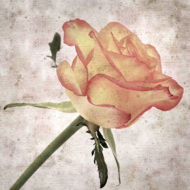 Kare biçiminde, sarı ve turuncu güllü eski desenli kağıt arka plan