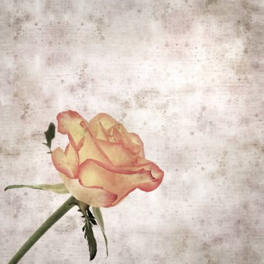 Kare biçiminde, sarı ve turuncu güllü eski desenli kağıt arka plan