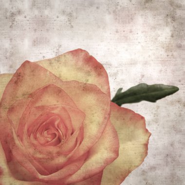 Kare biçiminde, sarı ve turuncu güllü eski desenli kağıt arka plan