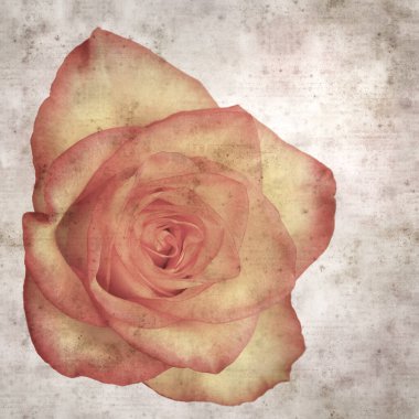 Kare biçiminde, sarı ve turuncu güllü eski desenli kağıt arka plan