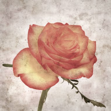 Kare biçiminde, sarı ve turuncu güllü eski desenli kağıt arka plan