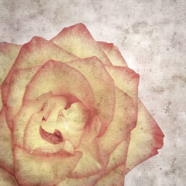 Kare biçiminde, sarı ve turuncu güllü eski desenli kağıt arka plan