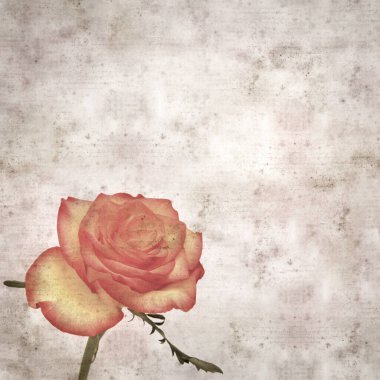 Kare biçiminde, sarı ve turuncu güllü eski desenli kağıt arka plan