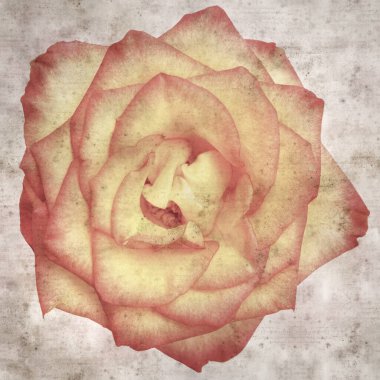 Kare biçiminde, sarı ve turuncu güllü eski desenli kağıt arka plan