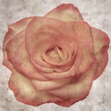 Kare biçiminde, sarı ve turuncu güllü eski desenli kağıt arka plan