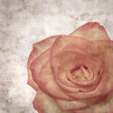 Kare biçiminde, sarı ve turuncu güllü eski desenli kağıt arka plan