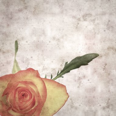 Kare biçiminde, sarı ve turuncu güllü eski desenli kağıt arka plan