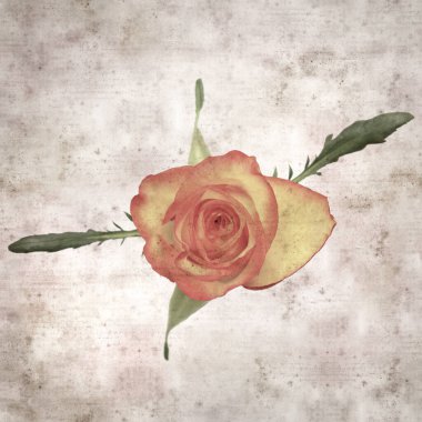 Kare biçiminde, sarı ve turuncu güllü eski desenli kağıt arka plan