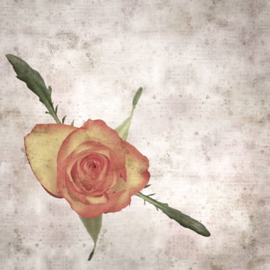 Kare biçiminde, sarı ve turuncu güllü eski desenli kağıt arka plan