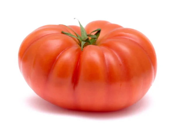 Large Ground Grown Tomato Canary Islands Isolated White — 스톡 사진