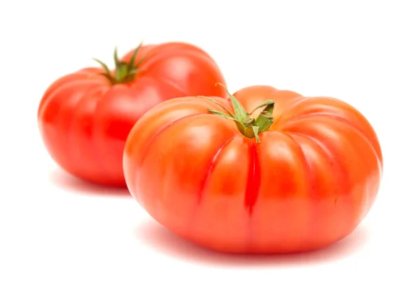 Large Ground Grown Tomato Canary Islands Isolated White — Stock fotografie