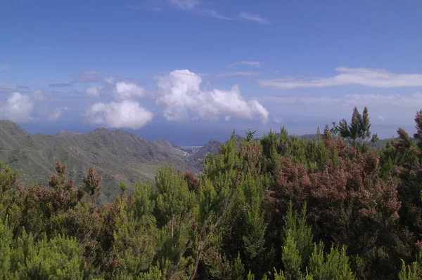 Tenerife Landscape North East Part Island Mirador Del Llano Los — Foto Stock