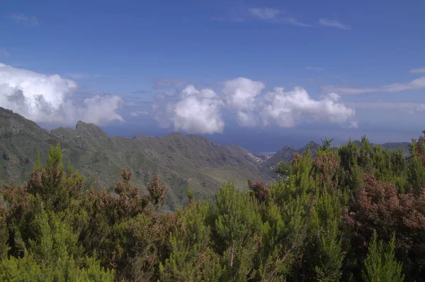 Tenerife Paisagem Parte Nordeste Ilha Redor Mirador Jardina Miradouro Uma — Fotografia de Stock