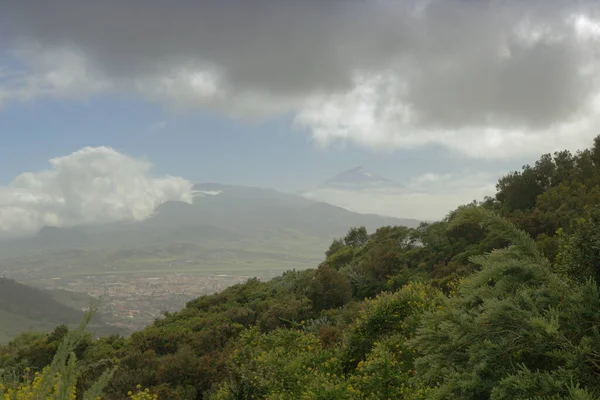 Tenerife Landschap Van Het Noordoostelijke Deel Van Het Eiland Van — Stockfoto