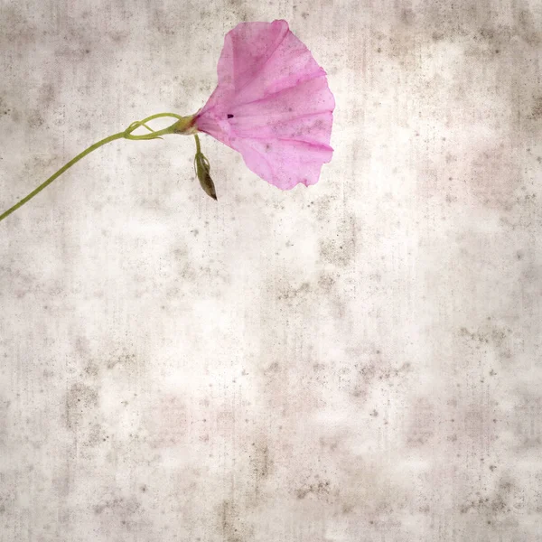Quadrato Elegante Vecchio Sfondo Carta Strutturata Con Fiori Rosa Pallido — Foto Stock