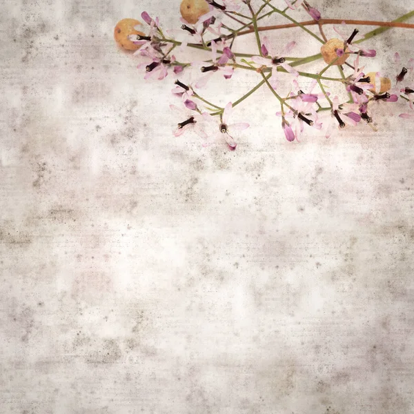 Quadrado Elegante Velho Fundo Papel Texturizado Com Flores Lilás Pálidas — Fotografia de Stock