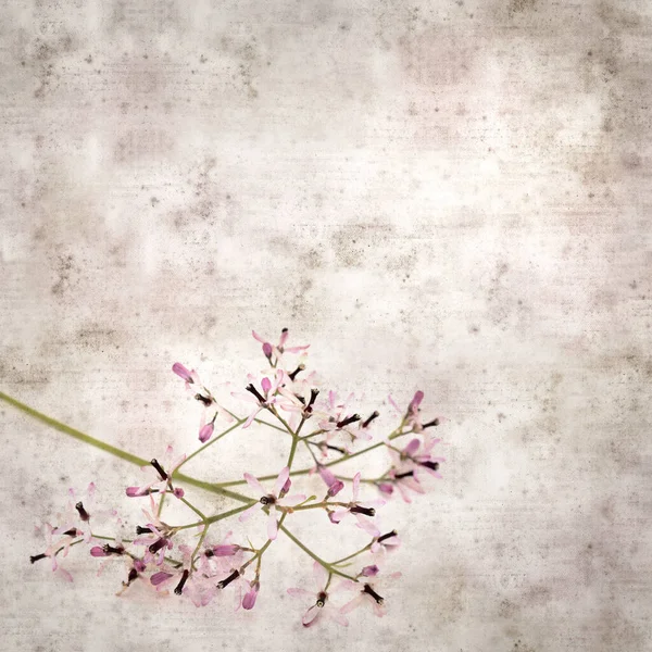 Quadrado Elegante Velho Fundo Papel Texturizado Com Flores Lilás Pálidas — Fotografia de Stock
