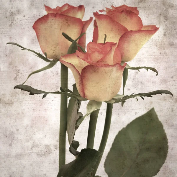 Kare biçiminde, sarı ve turuncu güllü eski desenli kağıt arka plan