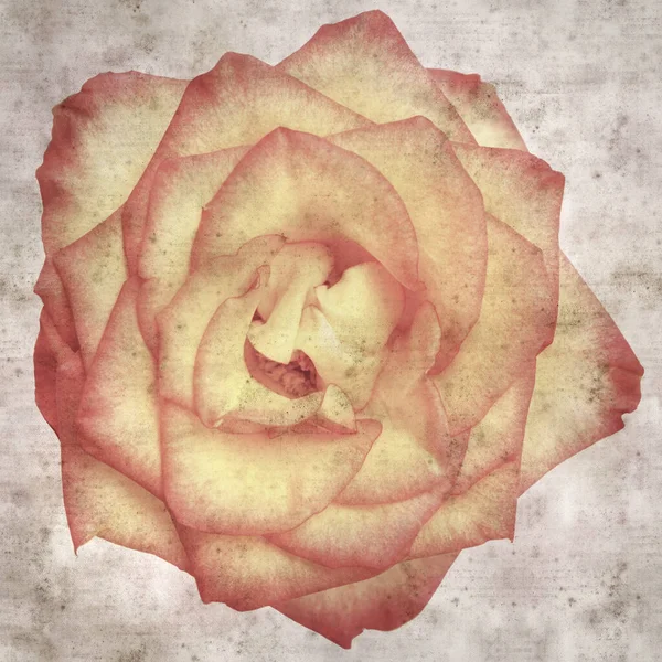 Kare biçiminde, sarı ve turuncu güllü eski desenli kağıt arka plan