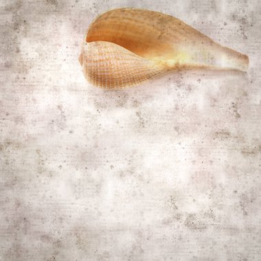 Yeşil bir mermer kabuktan yapılmış komik küçük kuşlarla süslü eski kağıt arka plan.