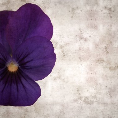 Kare biçiminde eski desenli kağıt arka planda koyu mavi nonoş çiçekleri