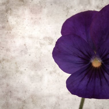 Kare biçiminde eski desenli kağıt arka planda koyu mavi nonoş çiçekleri