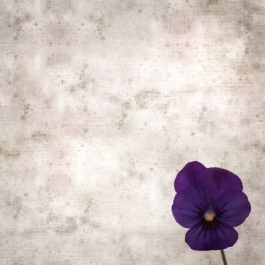 Kare biçiminde eski desenli kağıt arka planda koyu mavi nonoş çiçekleri