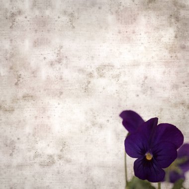 Kare biçiminde eski desenli kağıt arka planda koyu mavi nonoş çiçekleri