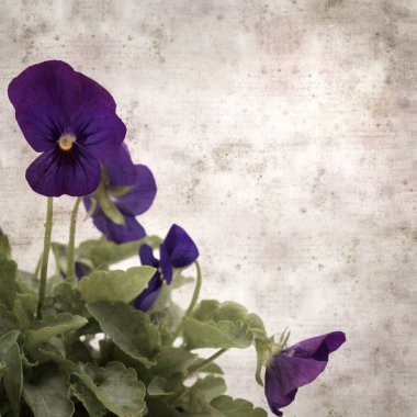 Kare biçiminde eski desenli kağıt arka planda koyu mavi nonoş çiçekleri