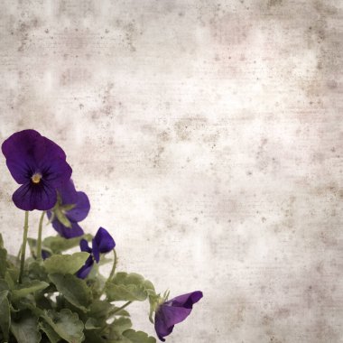 Kare biçiminde eski desenli kağıt arka planda koyu mavi nonoş çiçekleri