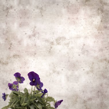 Kare biçiminde eski desenli kağıt arka planda koyu mavi nonoş çiçekleri