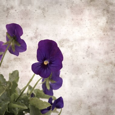 Kare biçiminde eski desenli kağıt arka planda koyu mavi nonoş çiçekleri