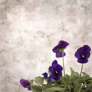 Kare biçiminde eski desenli kağıt arka planda koyu mavi nonoş çiçekleri