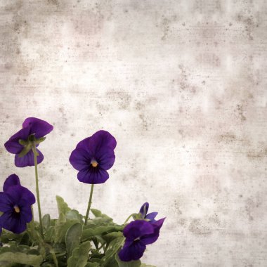 Kare biçiminde eski desenli kağıt arka planda koyu mavi nonoş çiçekleri