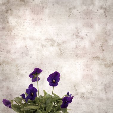 Kare biçiminde eski desenli kağıt arka planda koyu mavi nonoş çiçekleri