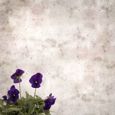 Kare biçiminde eski desenli kağıt arka planda koyu mavi nonoş çiçekleri