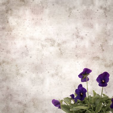 Kare biçiminde eski desenli kağıt arka planda koyu mavi nonoş çiçekleri