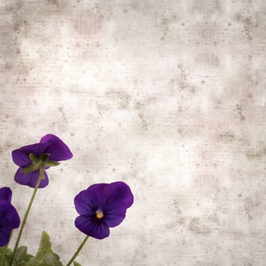 Kare biçiminde eski desenli kağıt arka planda koyu mavi nonoş çiçekleri