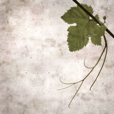 Asma bitkilerinde yeşil yay yaprakları olan eski moda kağıt kaplama kare. 