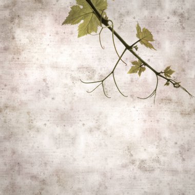 Asma bitkilerinde yeşil yay yaprakları olan eski moda kağıt kaplama kare. 