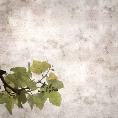 Asma bitkilerinde yeşil yay yaprakları olan eski moda kağıt kaplama kare. 