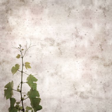 Asma bitkilerinde yeşil yay yaprakları olan eski moda kağıt kaplama kare. 