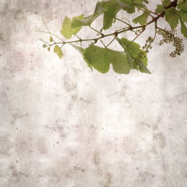 Asma bitkilerinde yeşil yay yaprakları olan eski moda kağıt kaplama kare. 